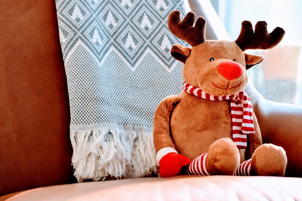 Respite Care in Weymouth at Christmas