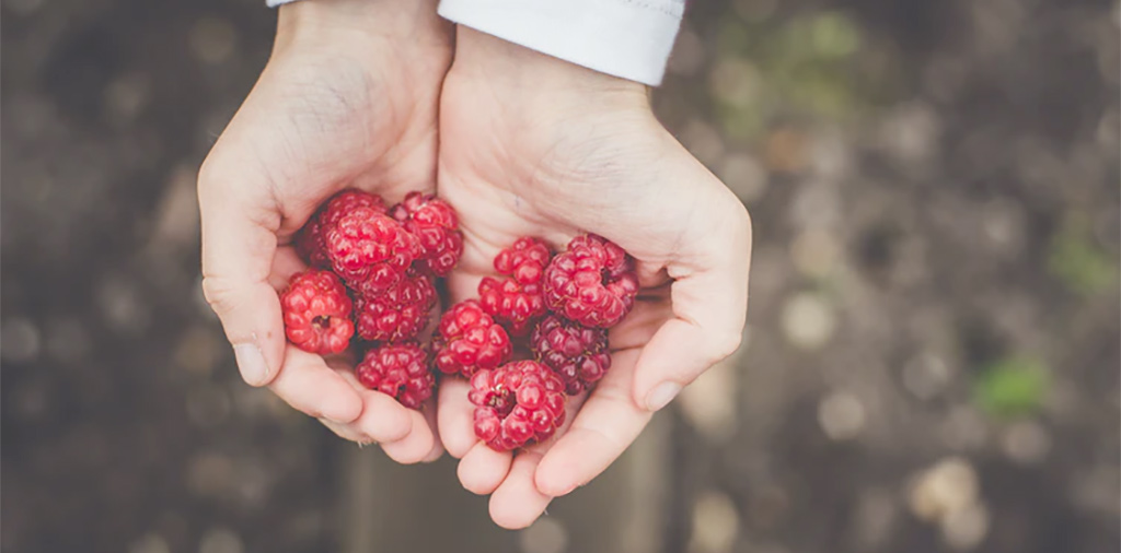 raspberries