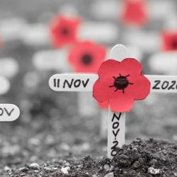 Friary Care Remembrance Day 2020