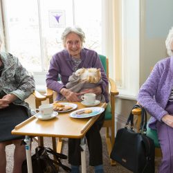 Care homes in Dorset