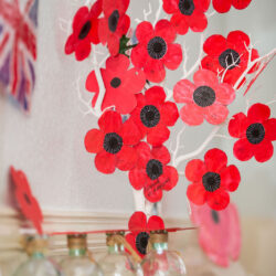 Friary Care Remembrance Day poppies