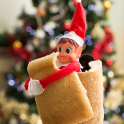 Friary Care Elf on a Shelf 3