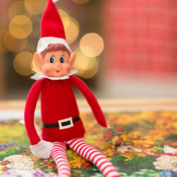 Friary Care Elf on a Shelf 5