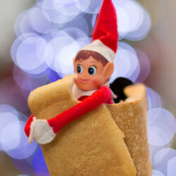 Friary Care Elf on a Shelf - bread