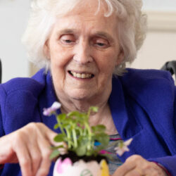 Making Easter egg plants