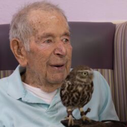 Getting aquainted with a Little Owl