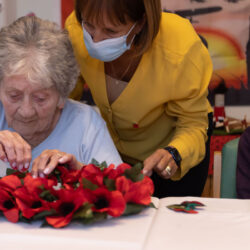 Armistice Day decorations