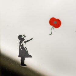 Banksy poppy
