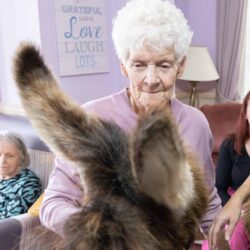Donkey visit to Weymouth Care Home