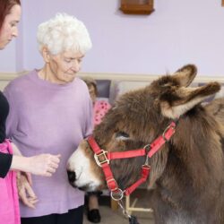 Donkeys visit Friary Care