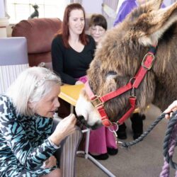 Getting up close with the donkeys