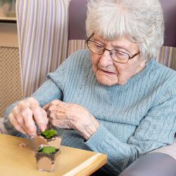 Making St Patrick Day Desserts