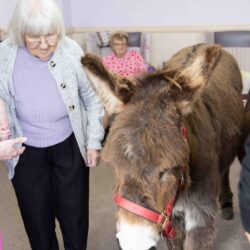 Making friends with the donkeys