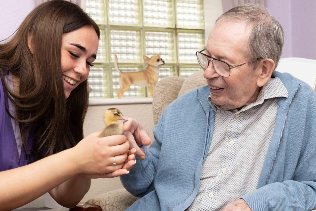 Getting to know the ducklings