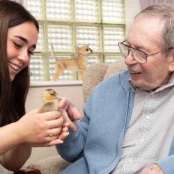 Getting to know the ducklings