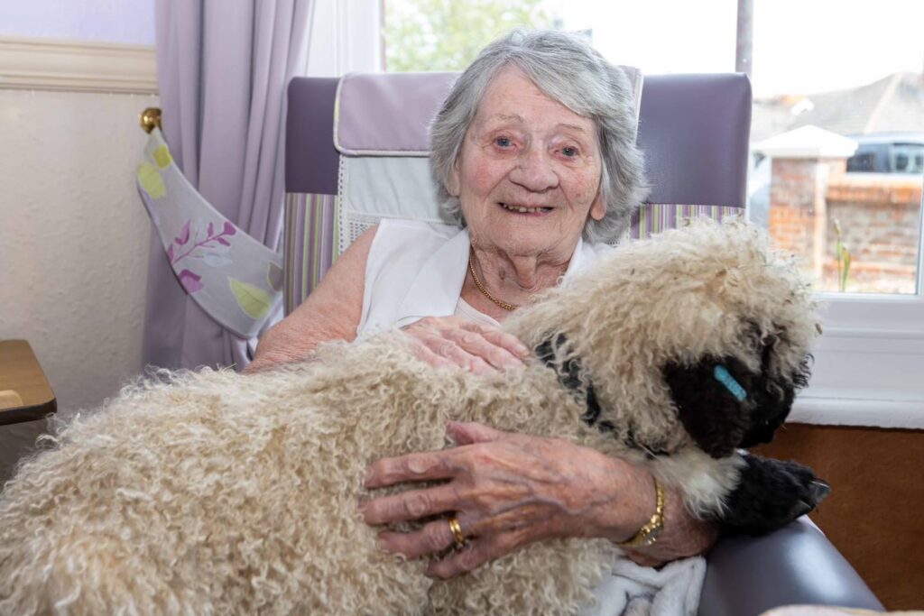 Meeting the sheep at Friary Care