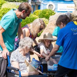 Curious about a creature