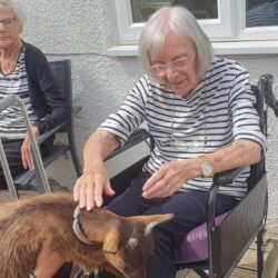resident stroking goat at friary care