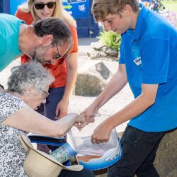 Getting close to the resident starfish