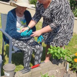 resident planting herbs