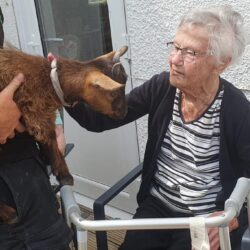 petting goat visiting friary care