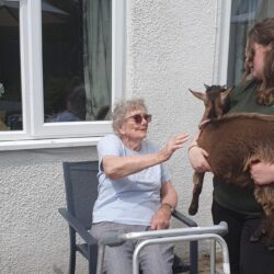 goat visit at friary care