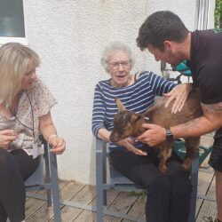 goat at friary care