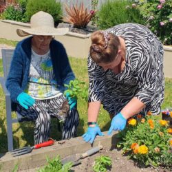 planting friary care garden