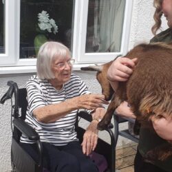 goat visit friary care