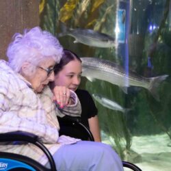 Sea Life Centre visit