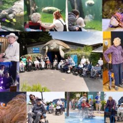 Sea Life Centre visit montage