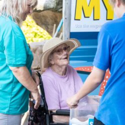 Getting to know the local sea life