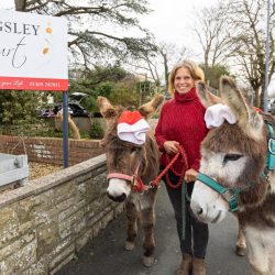 Mel from Westhill Donkeys - Friary Care