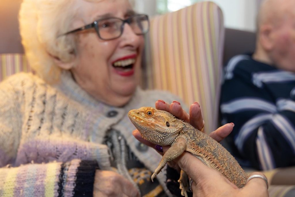 Up close with a Bearded Dragon