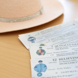 Royal Ascot at Friary Care - 1