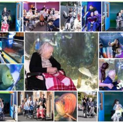 Friary Care visits Sea Life Centre Weymouth