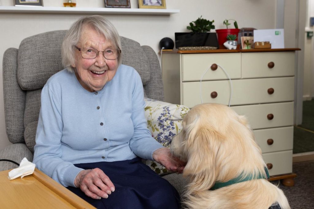 national pet day friary care