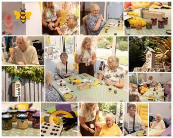 national bee day friary care