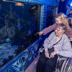 resident looking in sealife centre tank